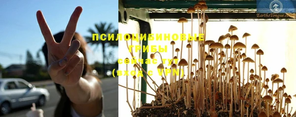 соль ск Кинешма