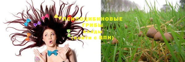 соль ск Кинешма
