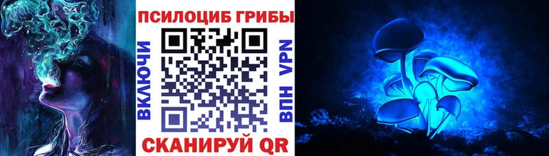 купить закладку  mega зеркало  Псилоцибиновые грибы мицелий  Первоуральск 